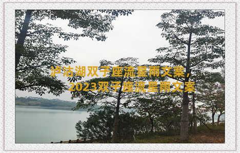 泸沽湖双子座流星雨文案，2023双子座流星雨文案